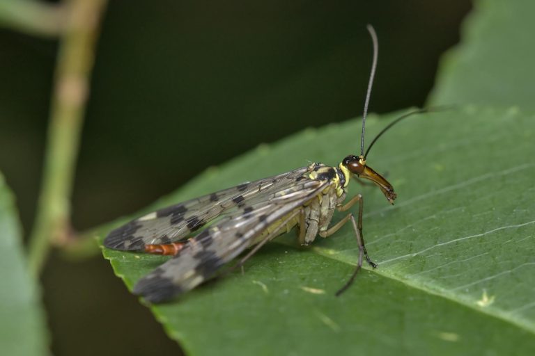 5 Cara Maksimalkan Desain Interior Kantor dengan Spesialis Partisi dan Pintu Lipat PVC yang Bikin Anda Terkejut